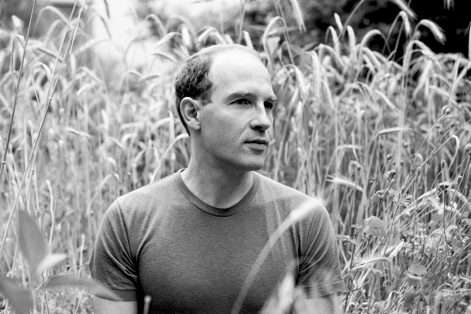 New Caribou album available to stream in full