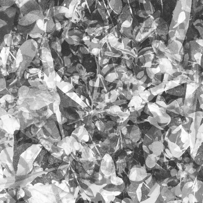 REVIEW: Caribou – Mars (Head High Venus Remix)