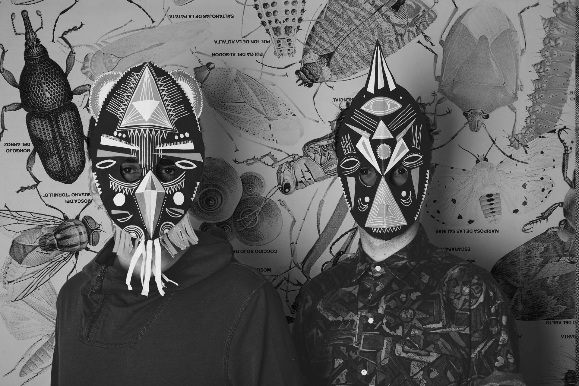 Dengue Dengue Dengue releases visuals for ‘Guarida (Feat. Sara Van)’